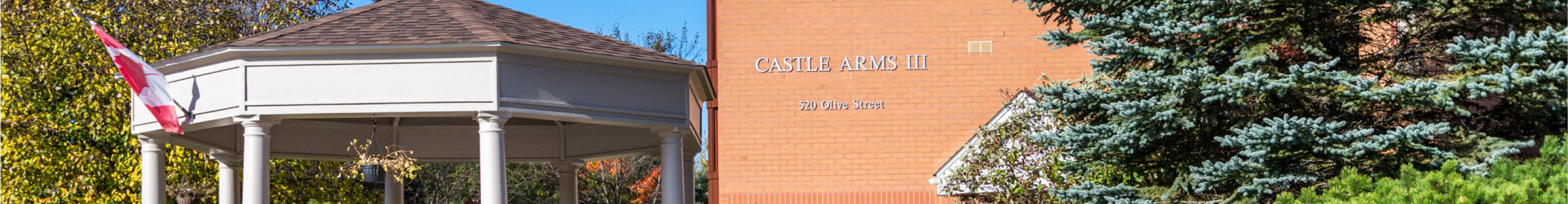 Castle Arms building